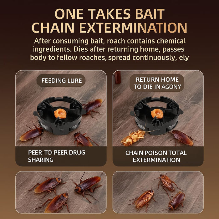 Combat Roach Killing Bait station | 🔥BUY 1 GET 1 FREE🔥