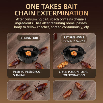 Combat Roach Killing Bait station | 🔥BUY 1 GET 1 FREE🔥