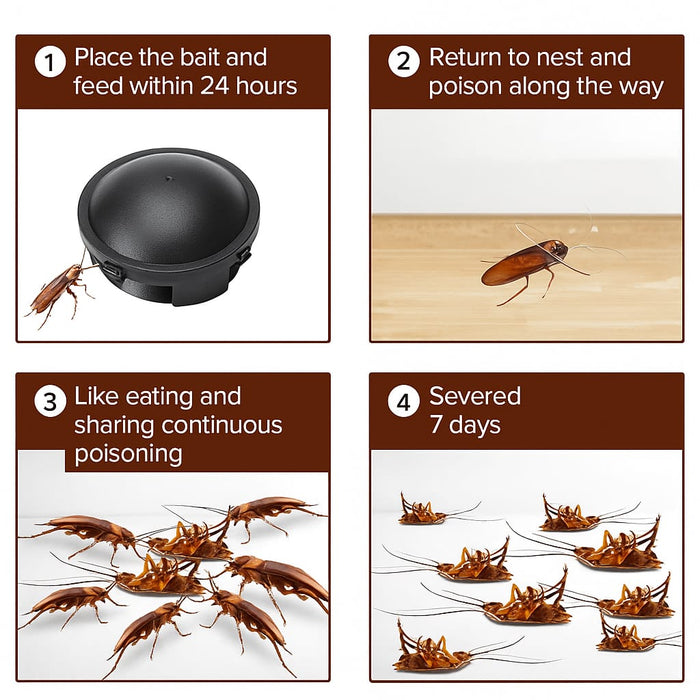 Combat Roach Killing Bait station | 🔥BUY 1 GET 1 FREE🔥