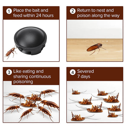 Combat Roach Killing Bait station | 🔥BUY 1 GET 1 FREE🔥